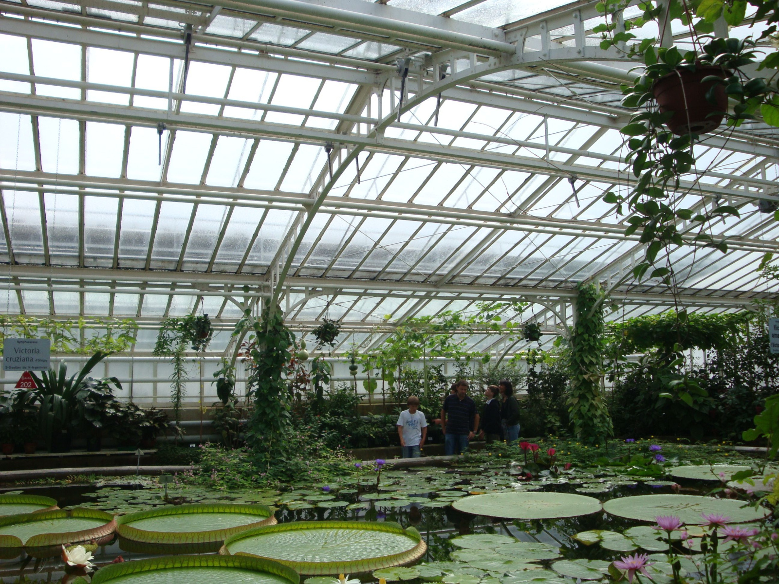 Botanische Tuin